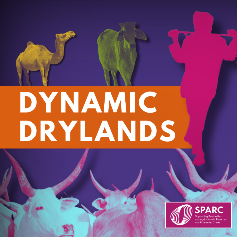 SPARC podcast: Dynamic Drylands