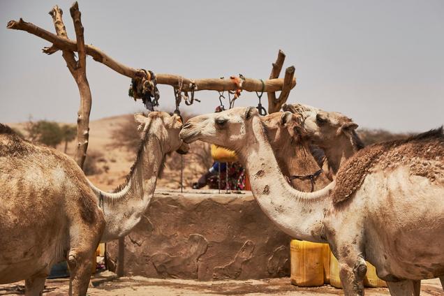 Hassi Laetach village, in the Sahara desert in southern Mauritania. Its name means “those who are thirsty” in the local language, Hassania.