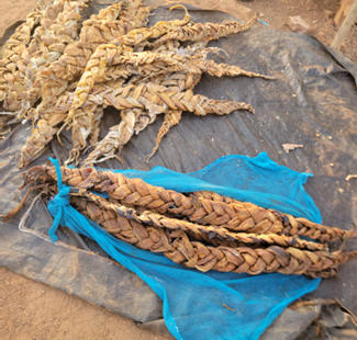 Preservation of fish by women in Bor town, Jonglei State, February 2023