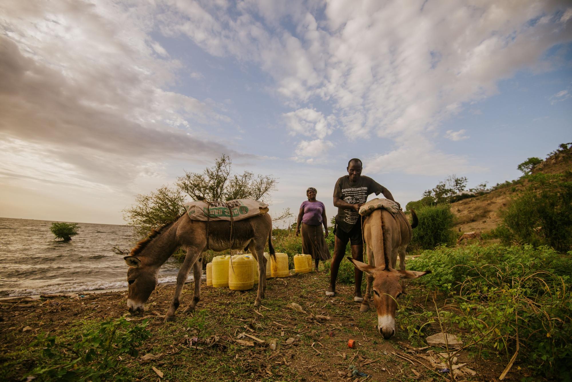  A couple provide water to their donkeys, two of which stand behind them, grazing next to a lake in the background