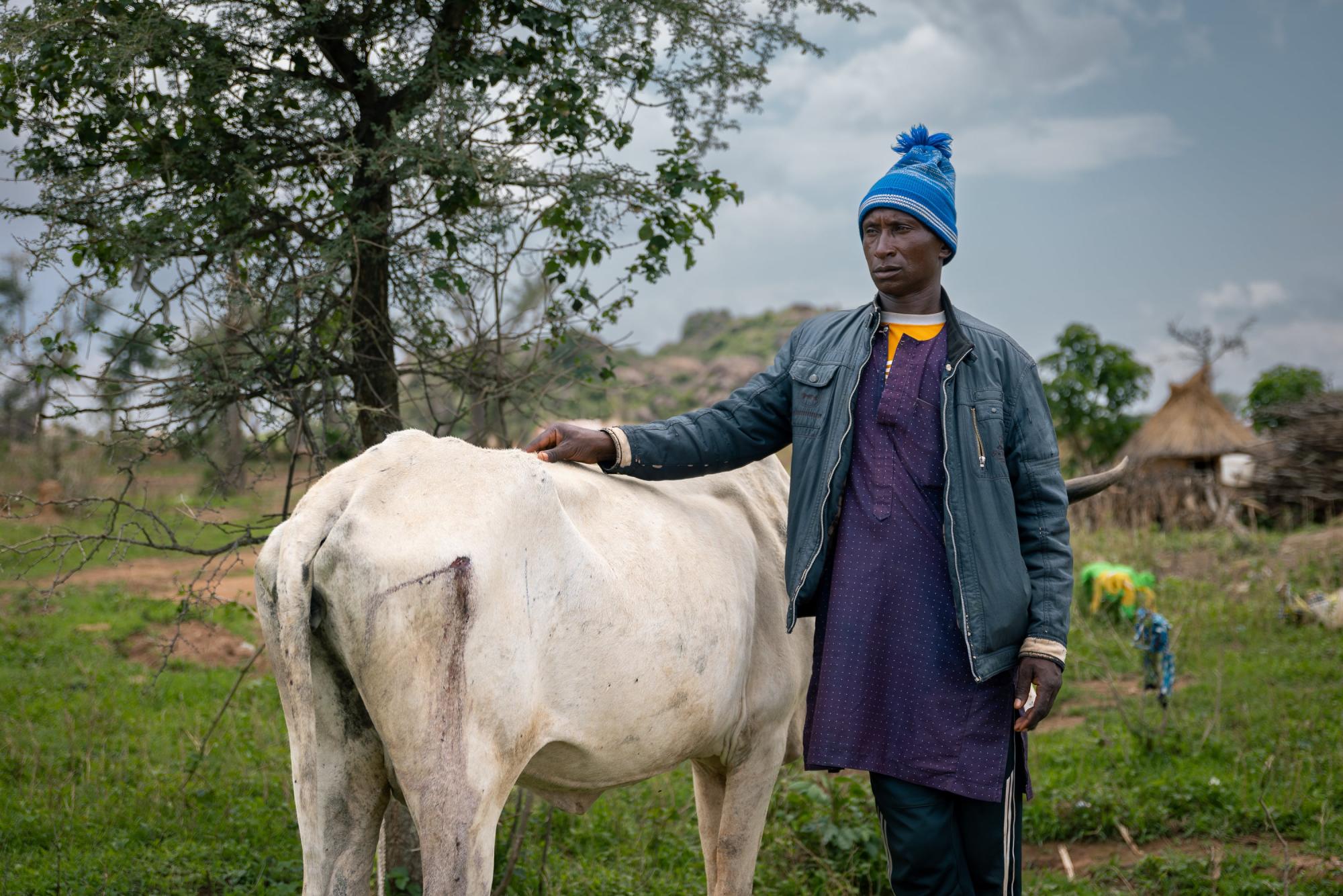 Herder with cow