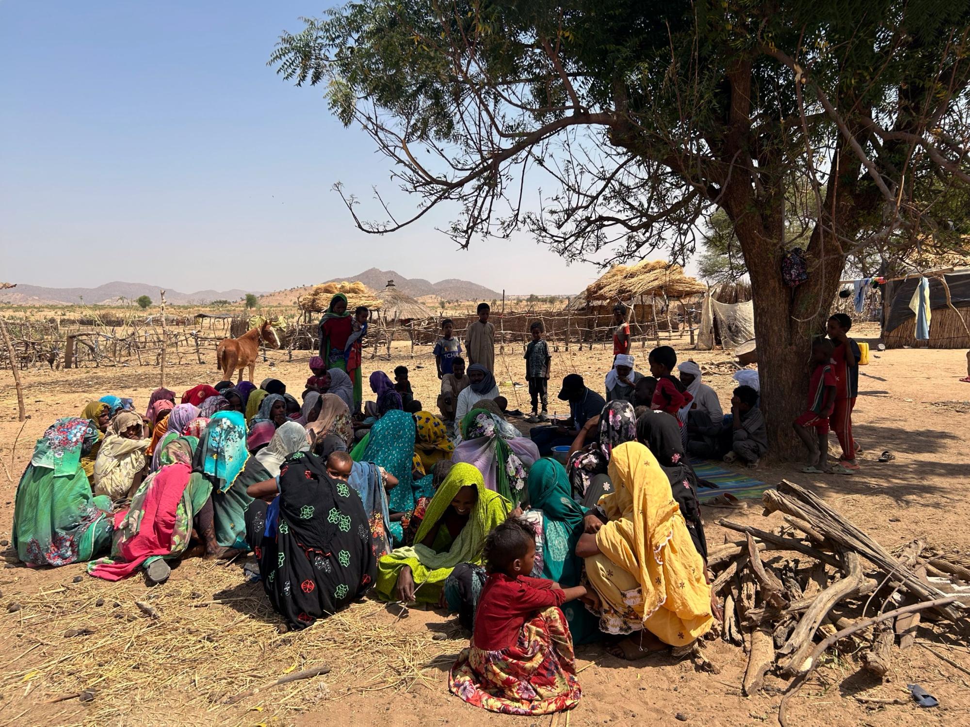  A group of women sit on the ground under the shade of a tree talking to man taking notes