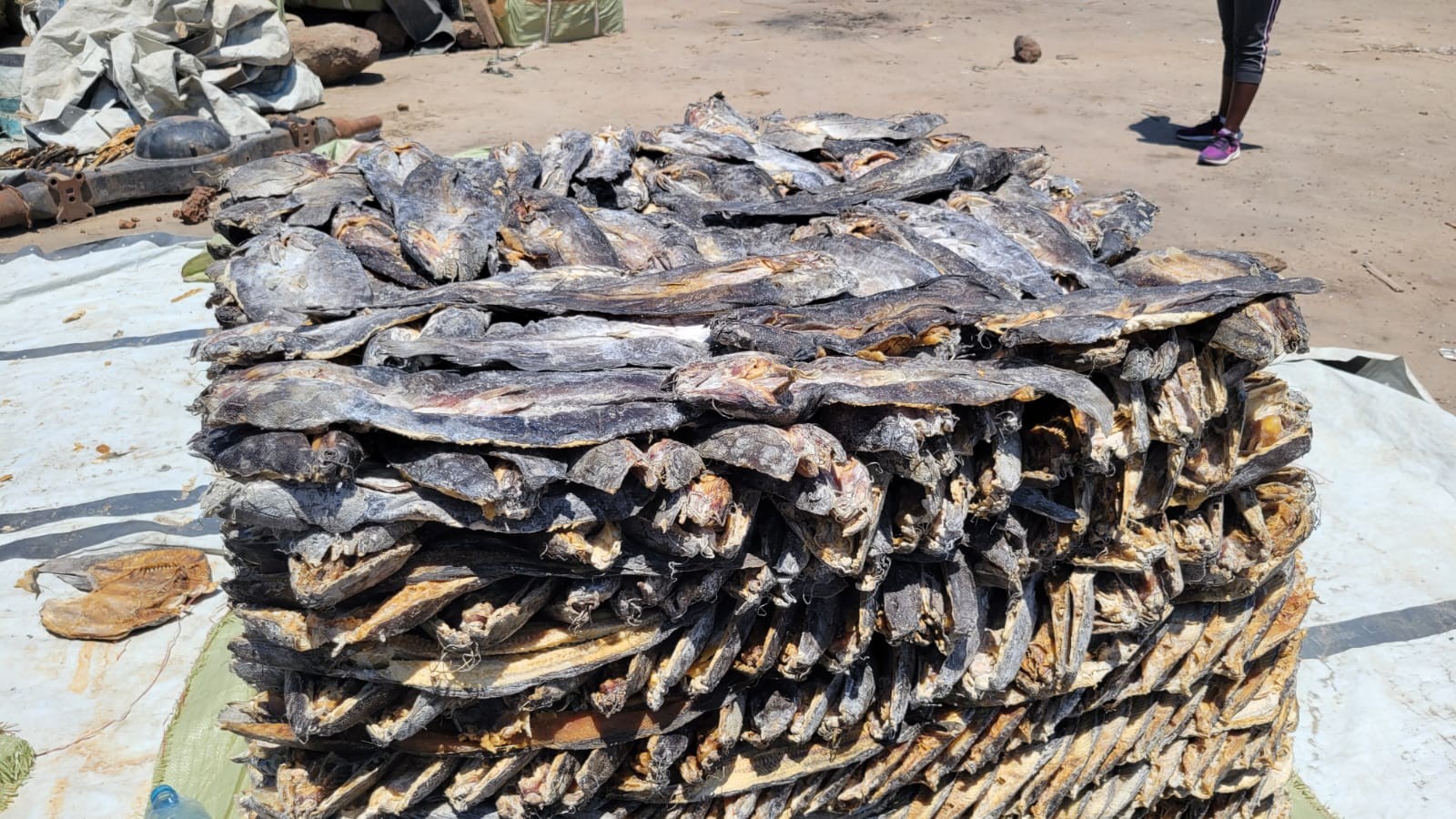 Fish bales packed for export in Bor Market, Jonglei State, South Sudan