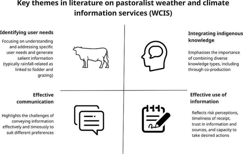 A black and white infographic of the key themes in literature on pastoralist weather and climate information services 