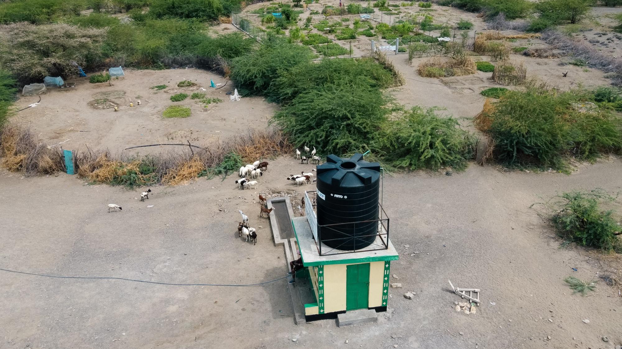 Water point in Lake Turkana