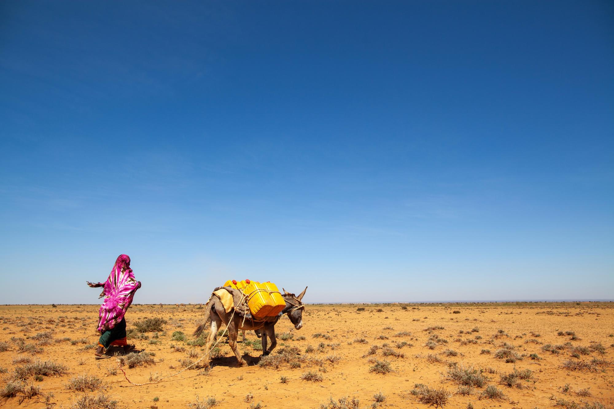 Collecting water at the UNDP-funded dam in Baligubadle, Somaliland, northwest Somalia. Credit: UNDP Somalia