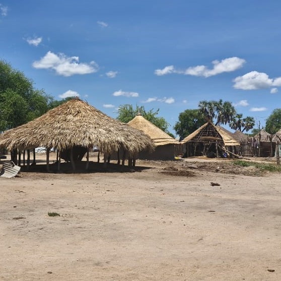 Dinka huts made of Nyal and Nyeth thatching grasses
