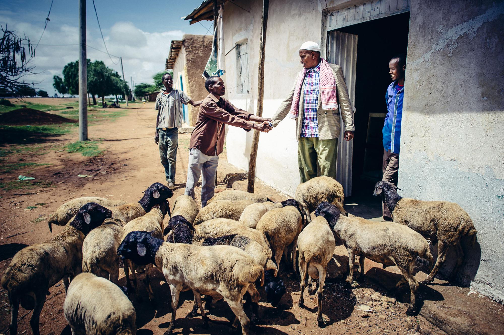 Ethiopia, May 2016. Credit: S. Sheridan/Mercy Corps. 