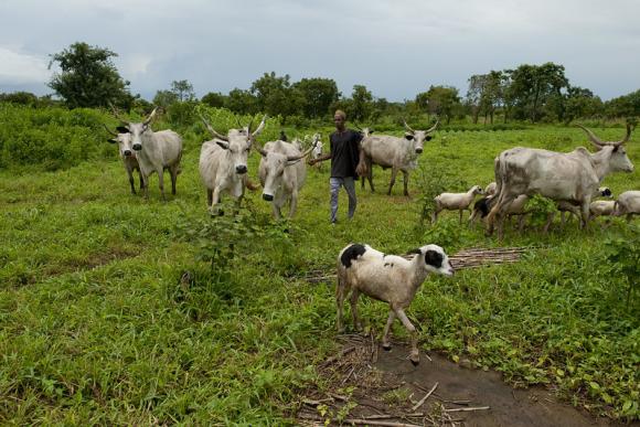 The people of Ta Kuti village, Niger State, Nigeria, are pastoralists and beneficiaries of Nigeria's Fadama II project. Credit: Arne Hoel/World Bank