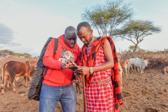 Two men stand side by side looking at a mobile phone that one is holding. A herd of cows is in the background
