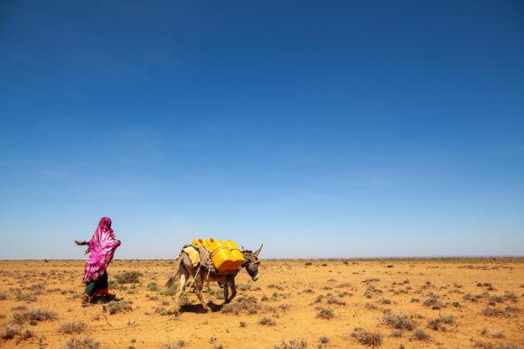 Collecting water at the UNDP-funded dam in Baligubadle, Somaliland, northwest Somalia. Credit: UNDP Somalia (CC BY-NC 2.0)