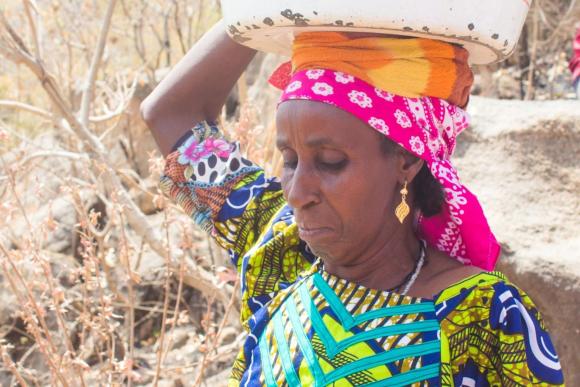  A woman wearing a brightly coloured top carries firewood on her head