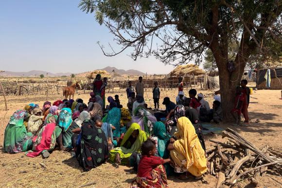A group of women sit on the ground under the shade of a tree talking to man taking notes