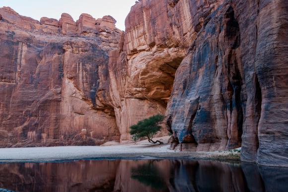 Point d'eau de Guelta d'Archei près d'une oasis, plateau de l'Ennedi, Tchad, Afrique. Image de Beata Tabak / shutterstock