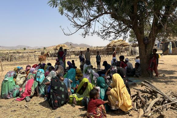 Un groupe de femmes se rassemble sous un arbre par une journée ensoleillée