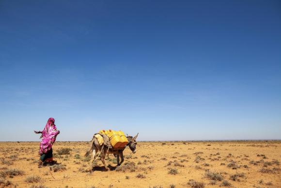 Female pastoralist in Somalia