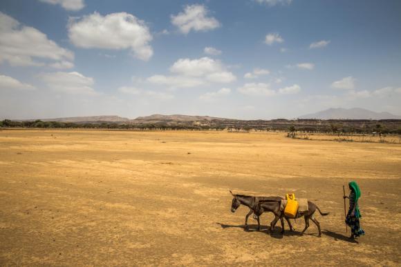 Travelling to find water during the drought in Ethiopia’s East Shoa Zone, 2016. Credit: UNICEF Ethiopia/2016/Ayene