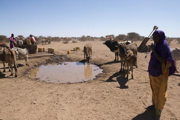 Pastoralists come to Harshim town from neighbouring woredas and Somalia looking for water in Fafan Zone Somali region in 2017 - Image by Michael Tsegaye / UNICEF Ethiopia - 