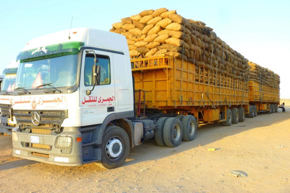 Trucking goods over long distances and non-tarmac roads. © Wirestock Creators / shutterstock