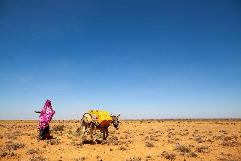 Collecting water at the UNDP-funded dam in Baligubadle, Somaliland, northwest Somalia. Credit: UNDP Somalia / Flickr. (CC BY-NC 2.0)