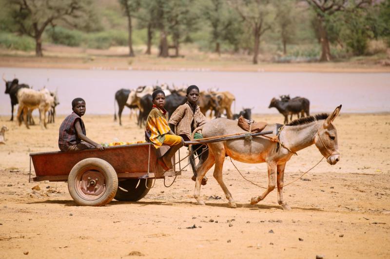Three children sit on top of a donkey and cart transporting goods, with a body of water in the background