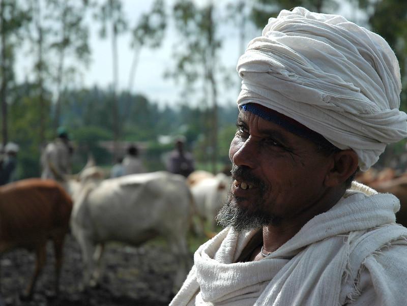 A man in the Ghibe Valley, Ethiopia, stands with cattle in the background