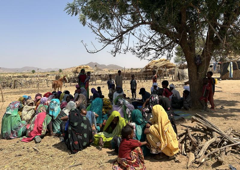 Un groupe de femmes se rassemble sous un arbre par une journée ensoleillée 