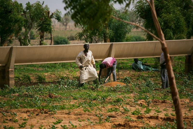 Two men farming in a field in Jos, Nigeria