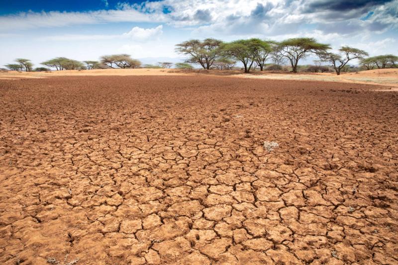 Parched land with sky and clouds in the distance