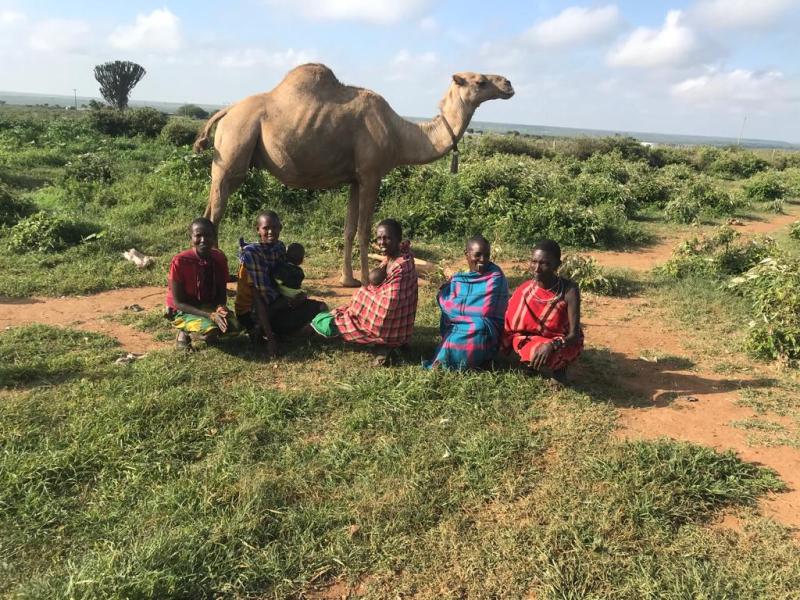 Five women sit together on the grass, with a camel standing behind them