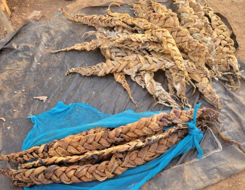 Women use indigenous methods of preserving fish fish in Bor town. Digital technology could help women advertise products like this via mobile platforms for delivery by bus or boat. Credit: Kenyatta University / SPARC.