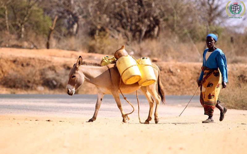Woman walks on dirt road behind a donkey loaded with plastic containers