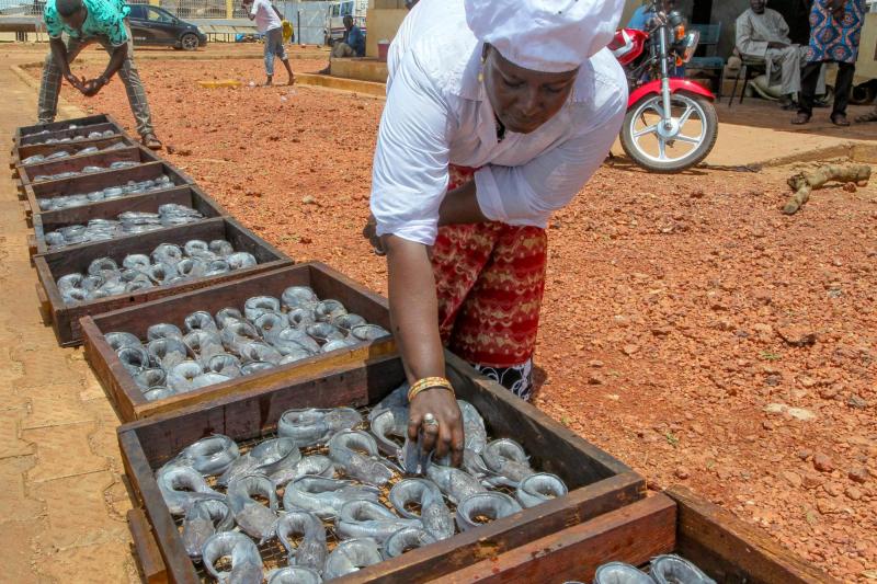 Women fisherman, Mali. Credit: Oumar Diop / UNDP