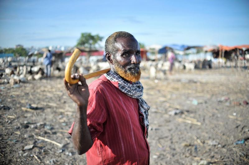 A man stands next to his goats at Barkara animal market, Mogadishu, Somalia.