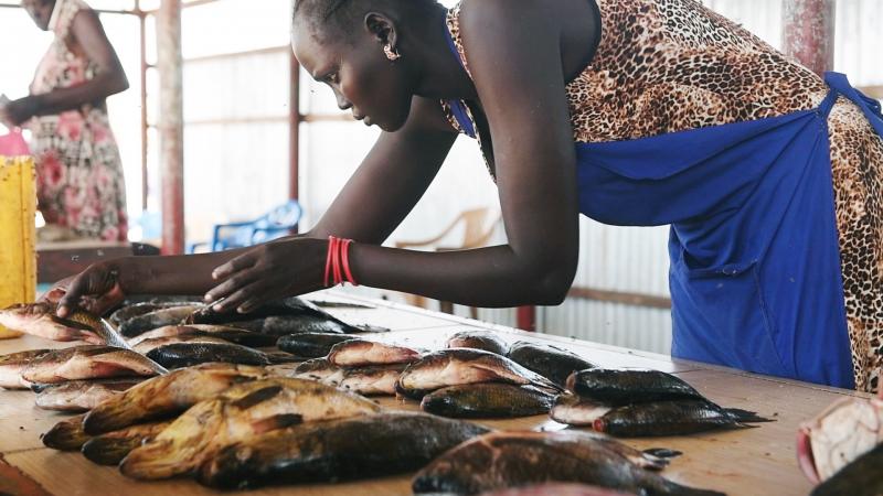 A woman sells fish at a local market in Bor Fish Market in Joglei, South Sudan - Image by UNMISS.