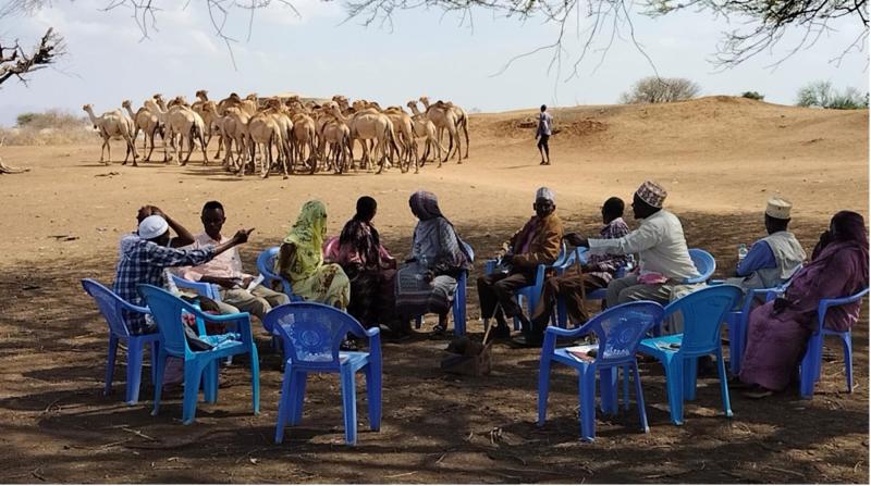 A group of people sit under the shade of a tree on blue chairs in drylands with camels in the background