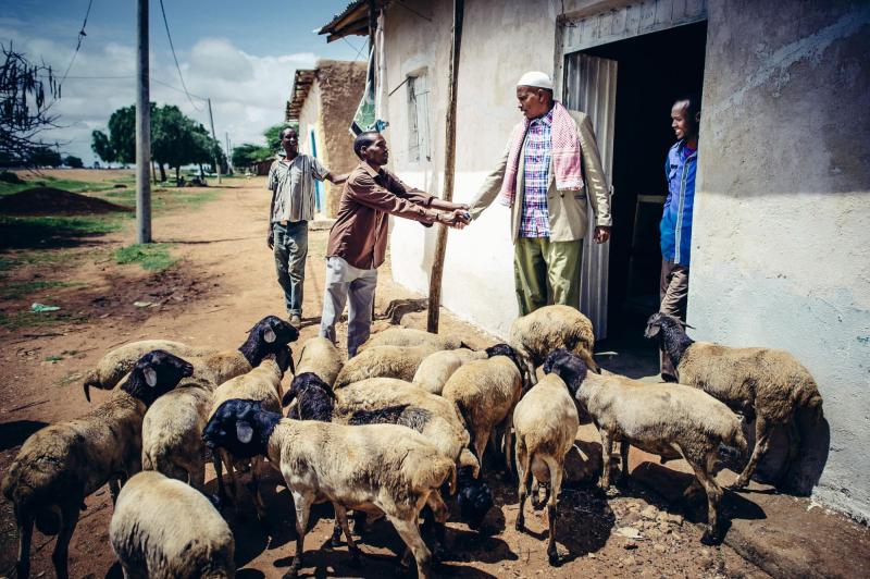 Ethiopia, 2016. Credit: S. Sheridan/Mercy Corps