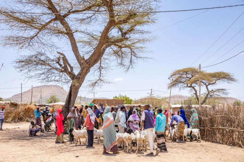 Ethiopia, March 2019. Credit: E. Millstein/Mercy Corps. 