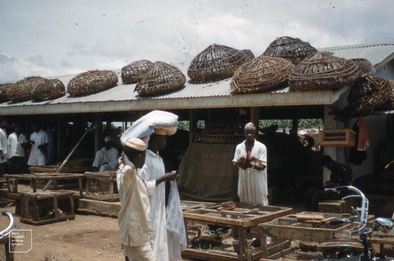 Poultry coups and crates in Kaduna Market, North Nigeria.