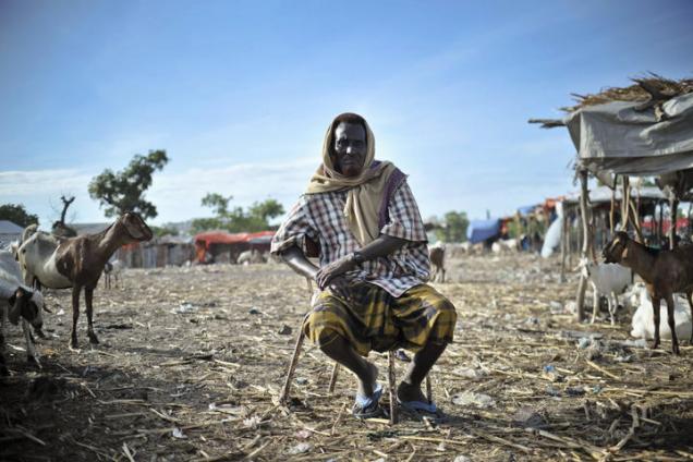 A man sits next to his herd of goats at Bakara Animal Market in Mogadishu, Somalia.