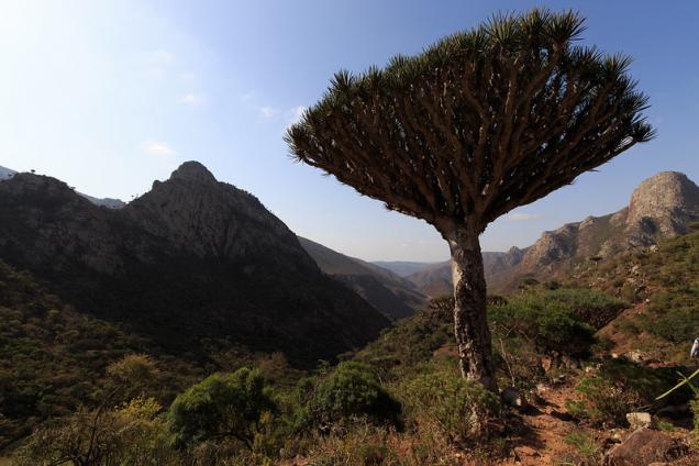 Haggier Mountains, Socotra, Yemen.