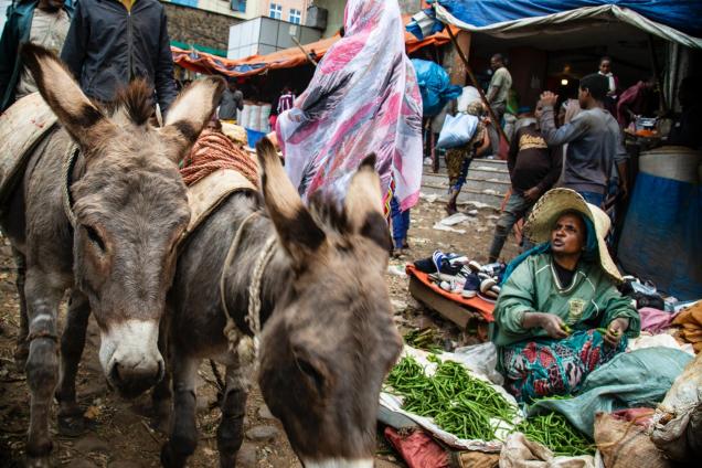 Market in Addis Ababa, Ethiopia