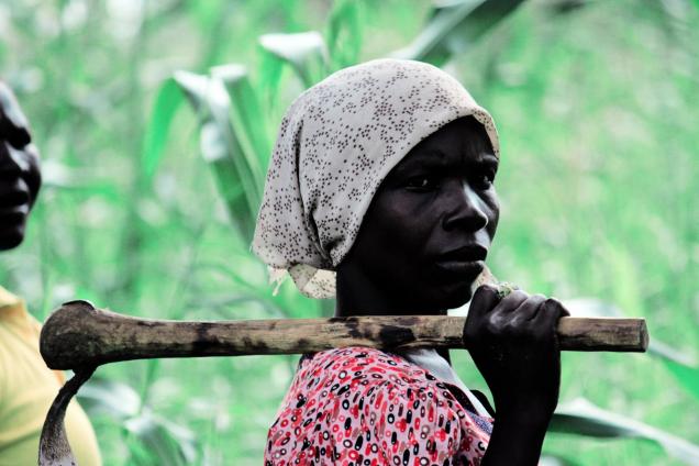 Martha Garba was displaced from her home in Gulak, Madagali, in Adamawa State, Nigeria, by Boko Haram. She now lives with her children in Yola and works as a hired farm worker.