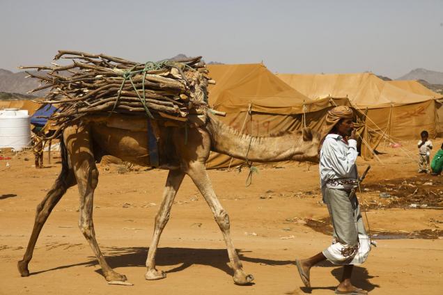 A man displaced by the war between Huthi rebels and government forces walks with his camel through the IDP camp at Mazrak, north-west Yemen.