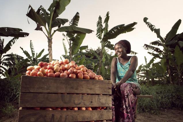 Olivia Nankindu surveys her farm near Kyotera, Uganda.