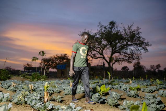 An assistant, Siaka, on Sanfo Karim's field, Boromo, Burkina Faso