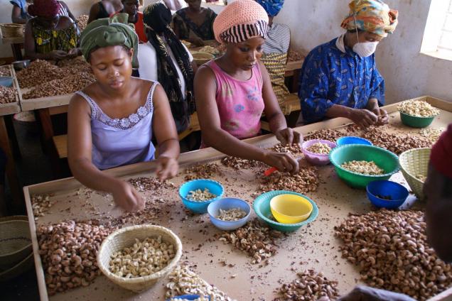 Women preparing cashews for packaging and marketing in Bobo Dioulasso, Burkina Faso