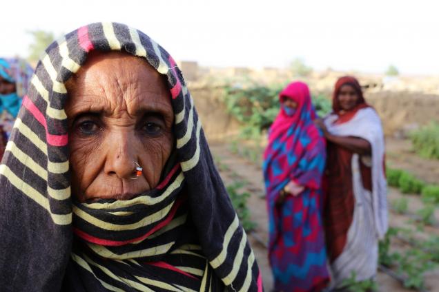 Women farmers in Sudan leave poverty behind