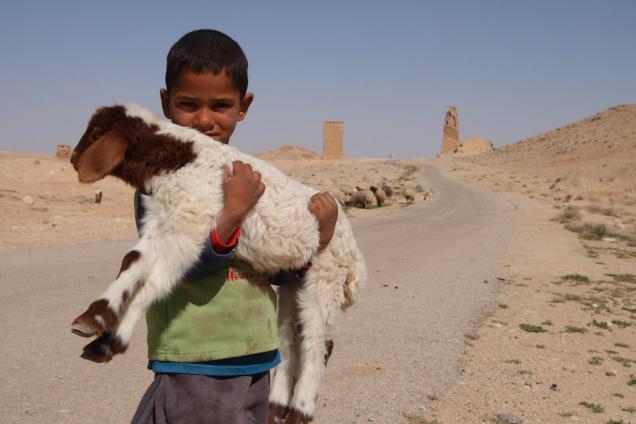 Bedouin boy herding sheep in Palmyra, Syria, before the conflict in the country started.