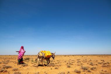 Collecting water at the UNDP-funded dam in Baligubadle, Somaliland, northwest Somalia. Credit: UNDP Somalia / Flickr. (CC BY-NC 2.0)